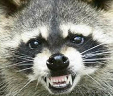 maskkim beautiful pornstar pictures