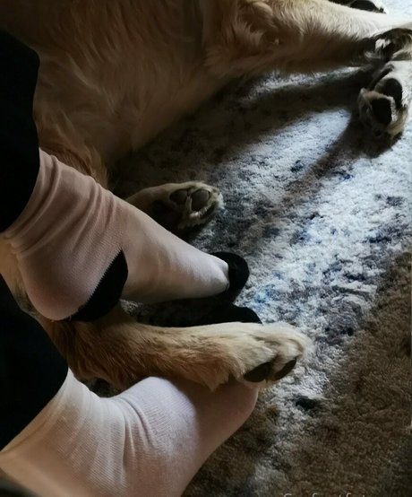 beach sex onlyfans erotic galleries