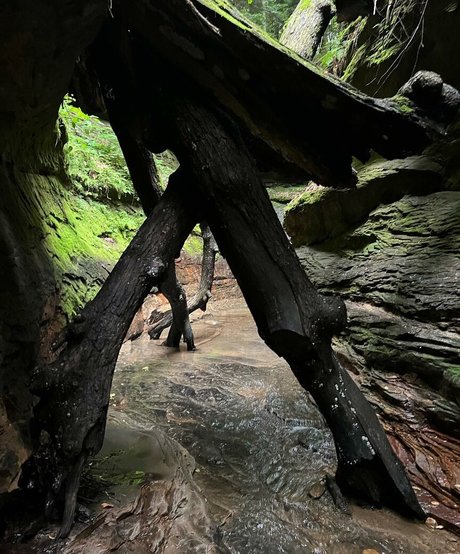 Madylina Renee nude model galleries