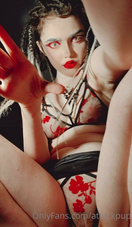 attackpup top model photo