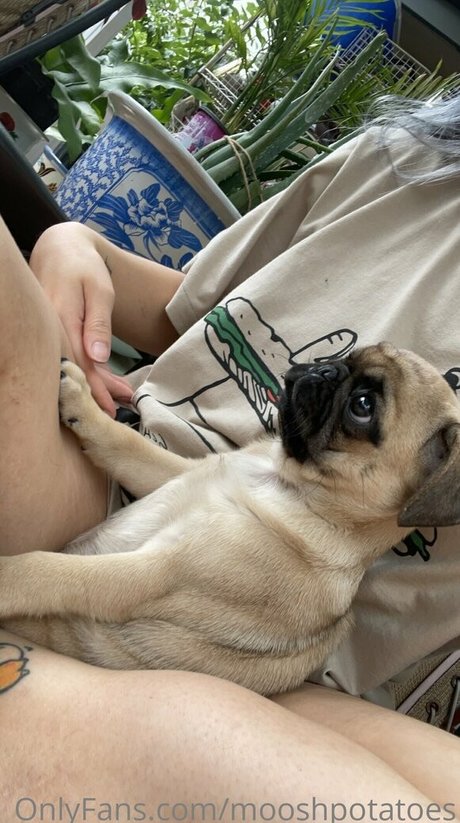 mooshpotatoes hot pornstar picture