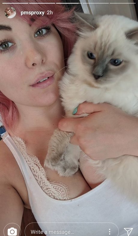 Pmsproxy star hd photos