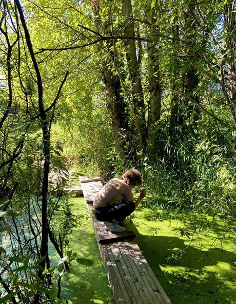 margofree hd model archive