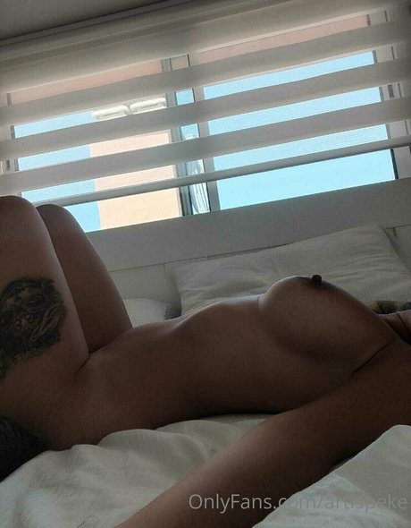 artispeke star nice photo