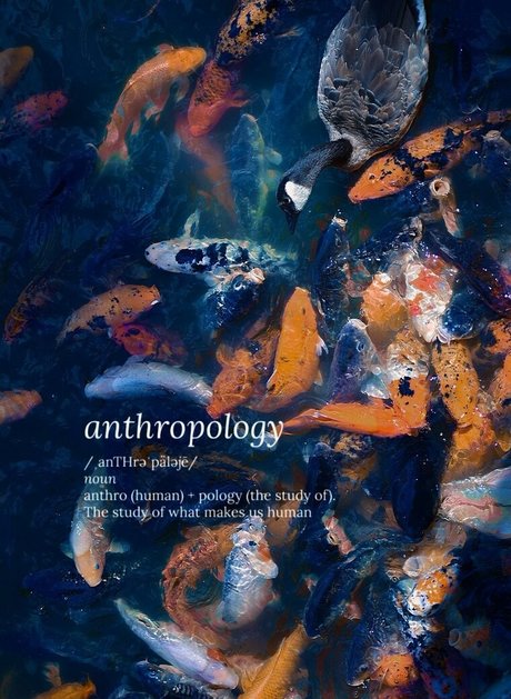 catgod x nudes pornstar galleries