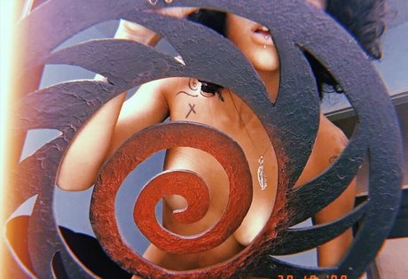 Caxinhox model art img