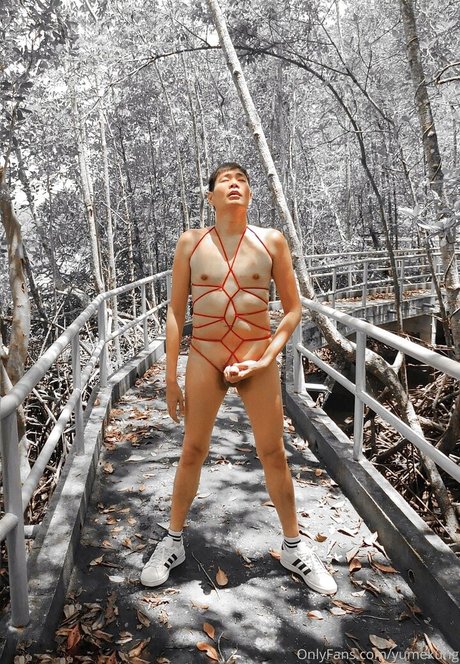 yumekung naked actress pictures