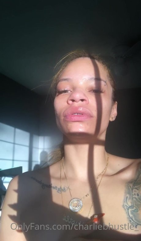 Charliebhustle_ pornographic star galleries