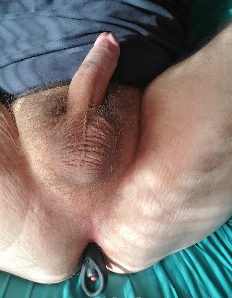 code d free star archive