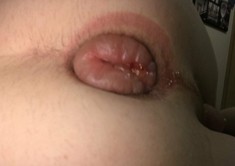 jamtom free pornstar gallery