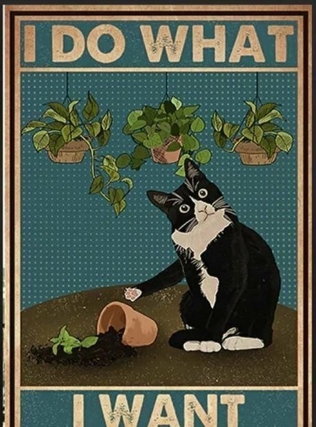 lovesickfordick onlyfans nude pictures