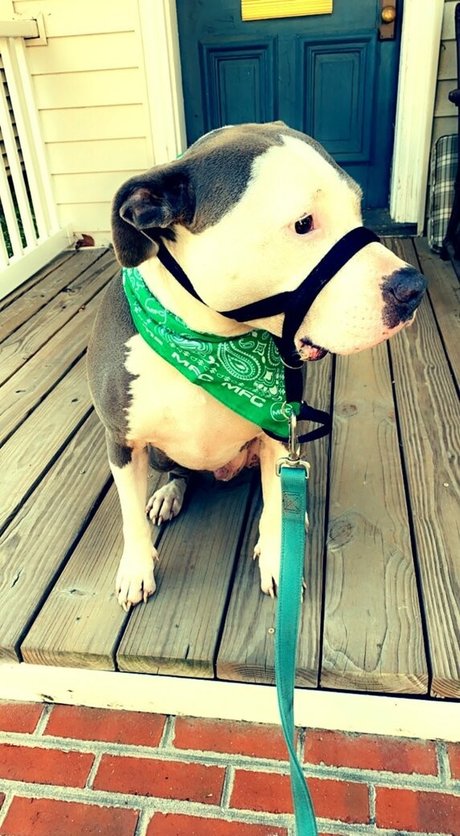 lovesickfordick free onlyfans porn