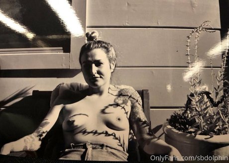 sbdolphin Profile pic