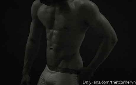 thetcornervn onlyfans nide