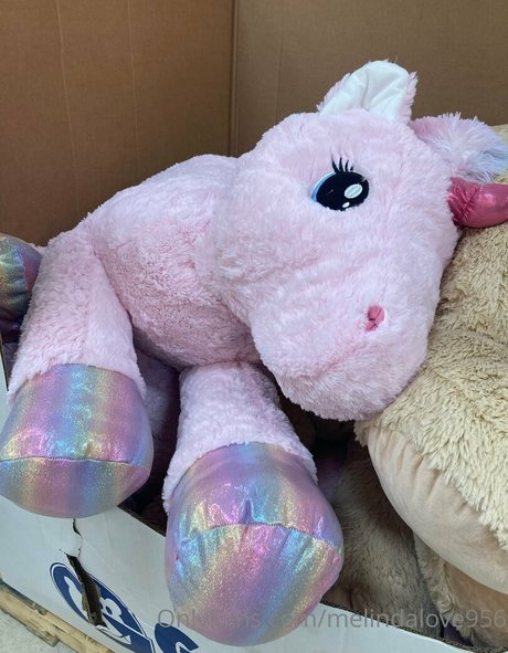 melindalove956 onlyfans joi