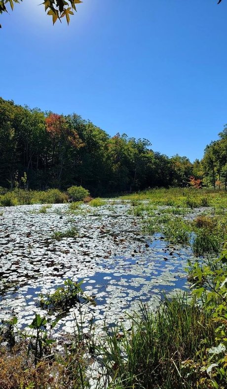 christymack onlyfans nudes leaks