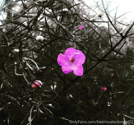 beersoakedangel02 onlyfans sextape leak