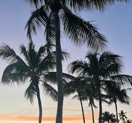 Leslie Sanchez free onlyfans porn