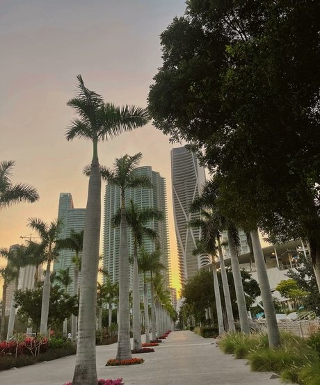 Leslie Sanchez onlyfans de