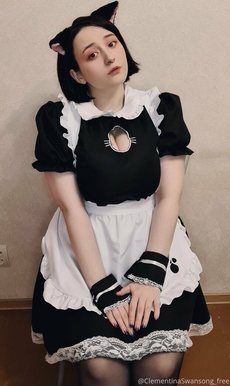 clementinaswansong free onlyfans nude porn