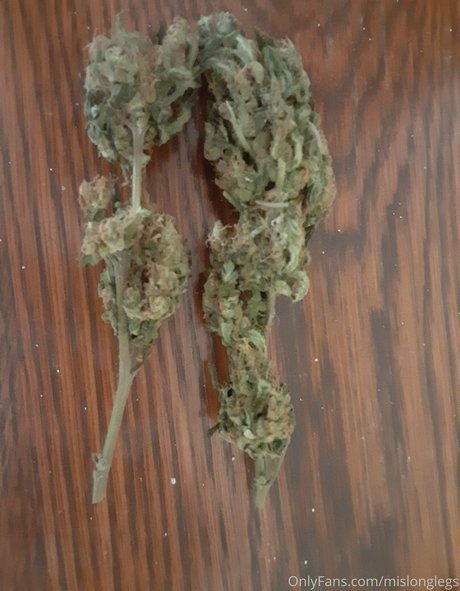 mislonglegs onlyfans for free