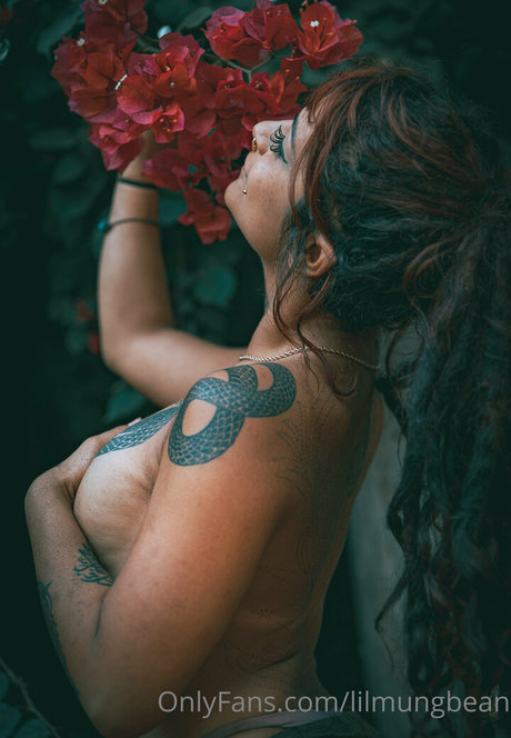 lilmungbean onlyfans free porn