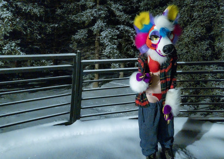 glittertitpup feet onlyfans