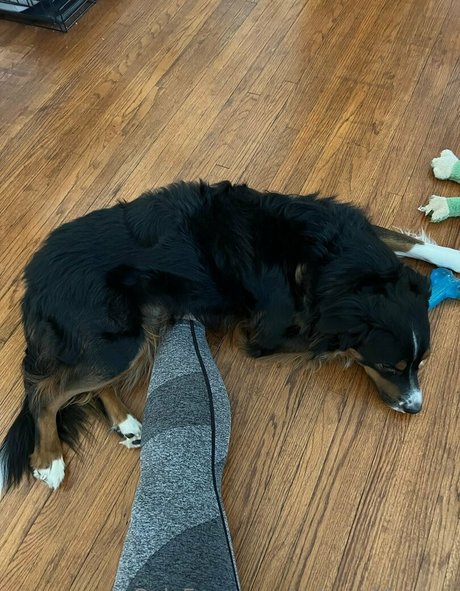 solegoddessap leaked onlyfans nude