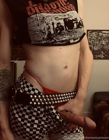 tsmonicamoon onlyfans creator
