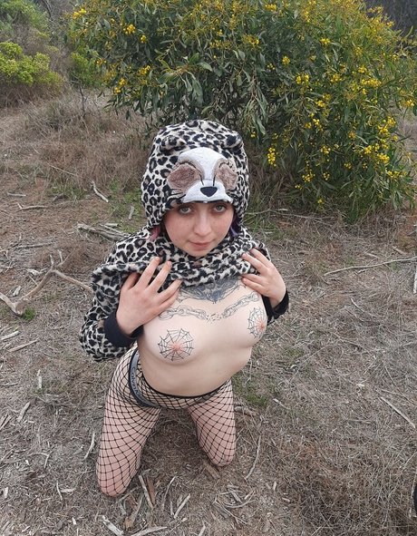 gatitajavilun only fans leaks porn