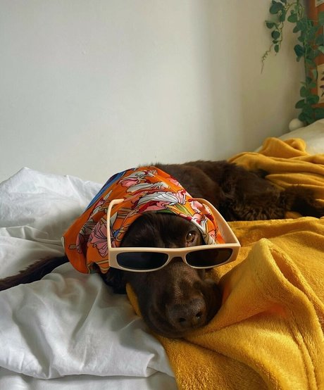 Helayna Birkett only fans free