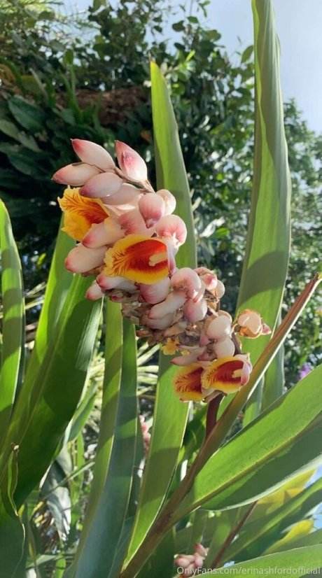 erinashfordofficial onlyfans leaks xxx