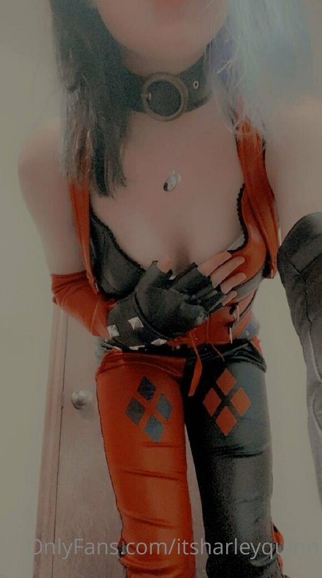 itsharleyquinn onlyfans desnuda