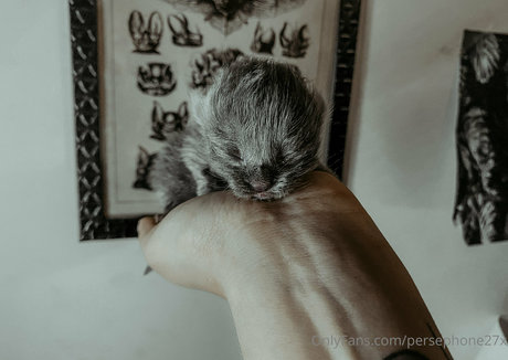 persephone27x free only fans