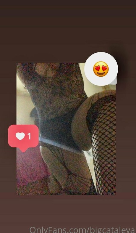 bigcataleya onlyfans de