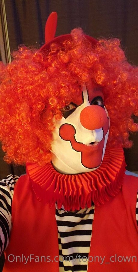toony clown Profile pic