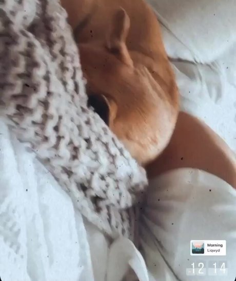 Chloe C xxx onlyfans