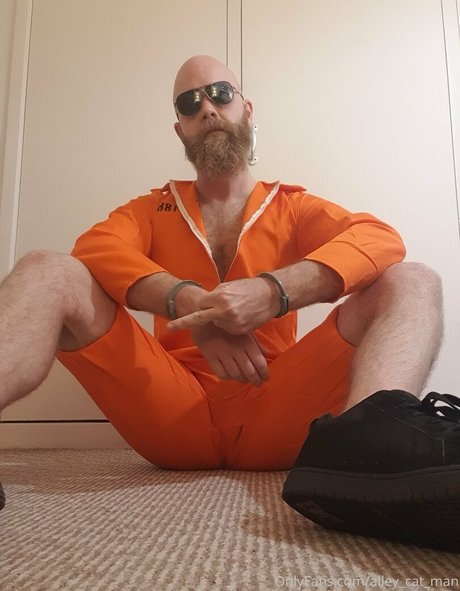alley cat man en onlyfans
