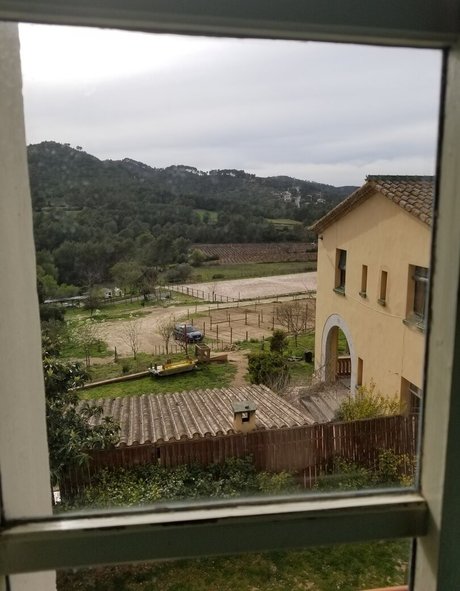 tommypistol onlyfans nude leaked