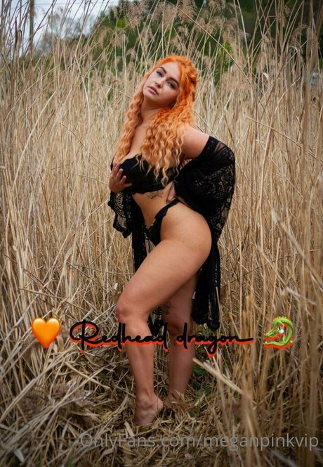 meganpinkvip onlyfans content leaked