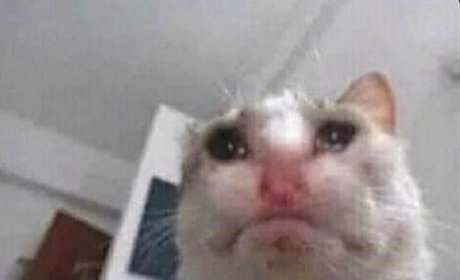 imnoturgothgf only fans nudes