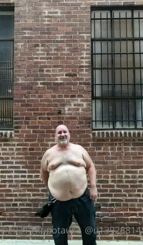 hippotaur leak only fans