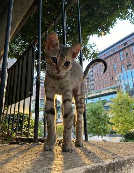 umermaidskiss onlyfans model