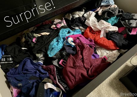 itsbreeboo onlyfans leaks free