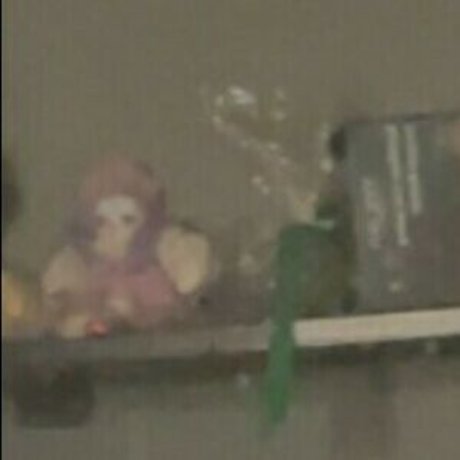 Realcarpetmuncher onlyfans porn