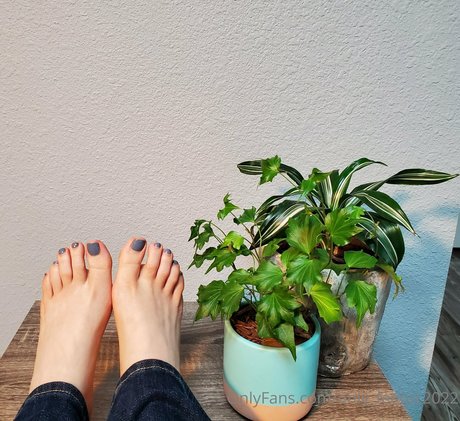 only feetpc2022 free onlyfans