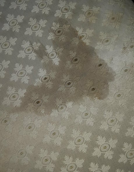 wetnbadmommy Profile pic