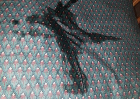 wetnbadmommy free onlyfans porn