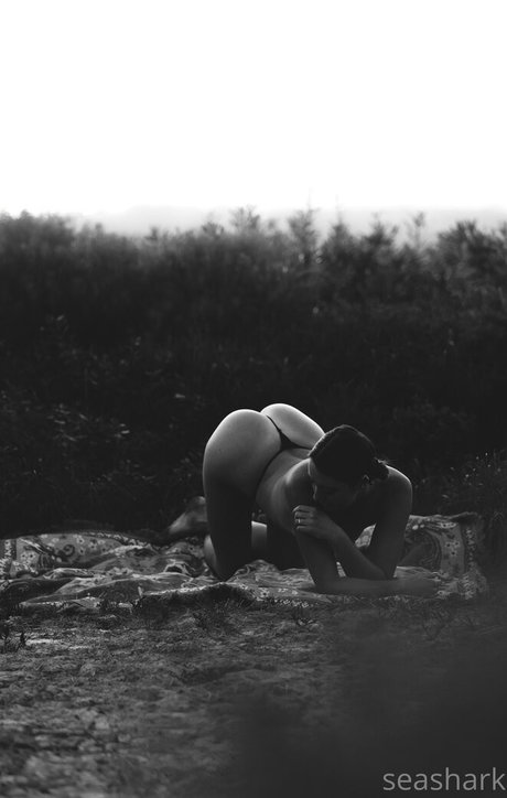 seasharkcensored onlyfans leaked naked