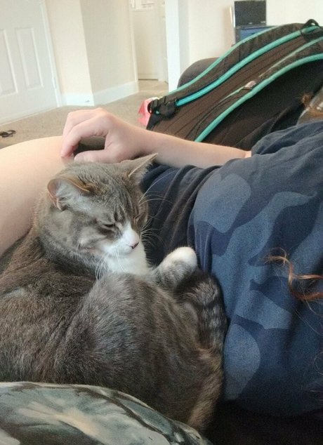 scarletexotic onlyfans explicit content